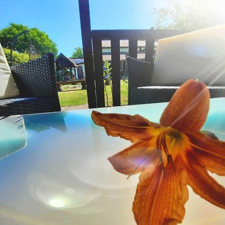 Pokoje Goscinne Ewa Nowicka フロンボルク エクステリア 写真